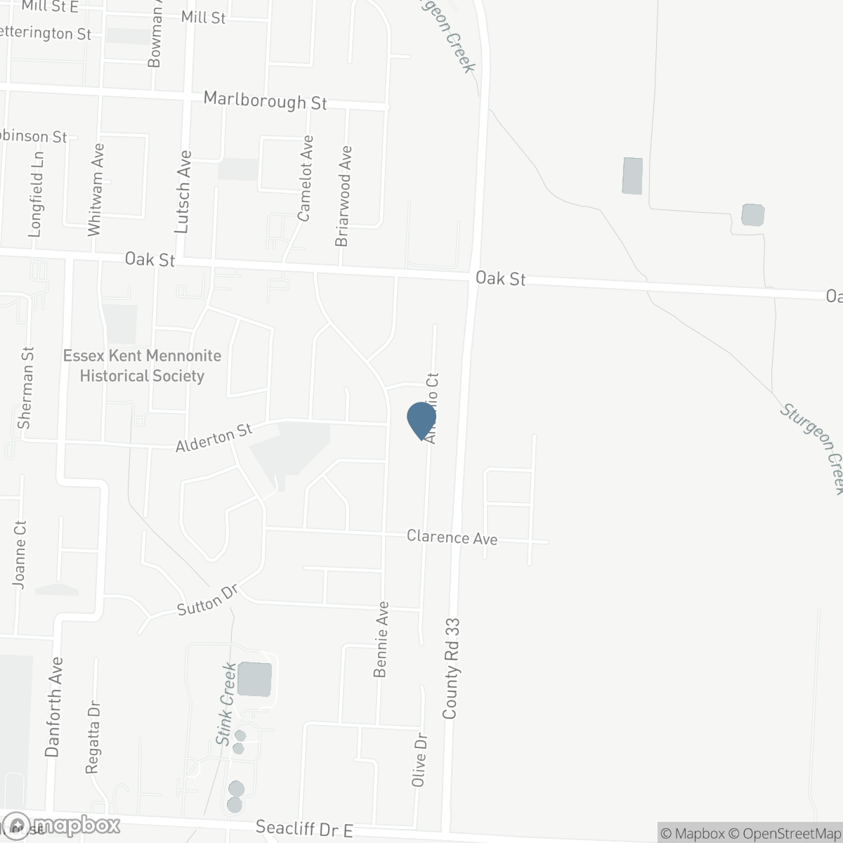 53 ANTONIO, Leamington, Ontario N8H 5P8